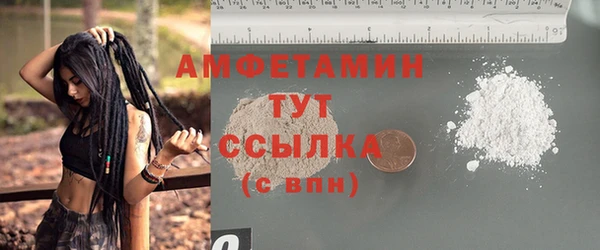 Альфа ПВП Инсар