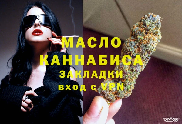 Альфа ПВП Инсар