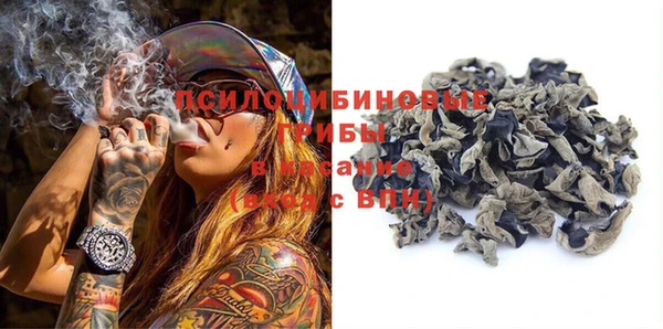 ALPHA PVP Иннополис