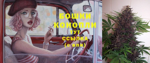 дживик Зеленодольск