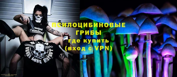 Альфа ПВП Зеленокумск