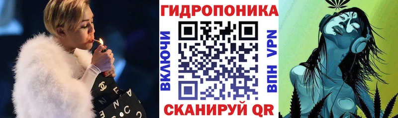 блэк спрут tor Михайлов Шишки марихуана Ganja